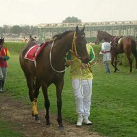 meshal alkulaif (@m_sa_11) 's Twitter Profile