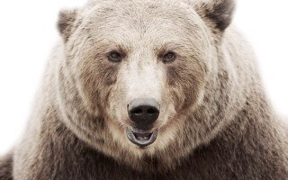 peterjduran's profile picture. 