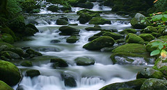 KosClear's profile picture. Check out Kos. See the coast of Kos, Cruise to Kos.