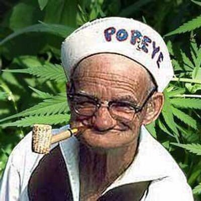 media tweets by popay