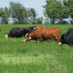 Bob_LeValley's profile picture. 