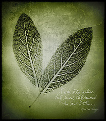 Didnt_DoIt's profile picture. I didn't do it, but it appears in the top ten google results for my name, and I don't know what to do about it!