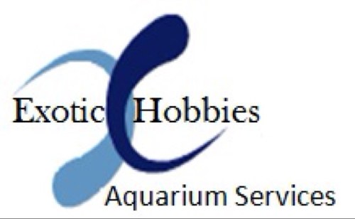 ExoticHobbies's profile picture. 
