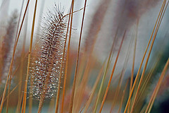 PimpMy_Rep's profile picture. I can pimp your online reputation.