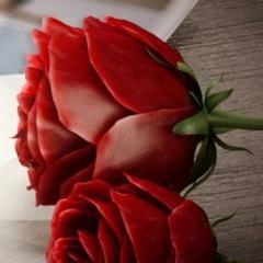 Flores , Rosas,Orquídeas, arranjos e buquês de casamentos..  tel: (11) 3522-5220
