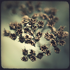 GreekIsleCruise's profile picture. Ever cruised the Greek Isles? It's cheaper and better than you could imagine