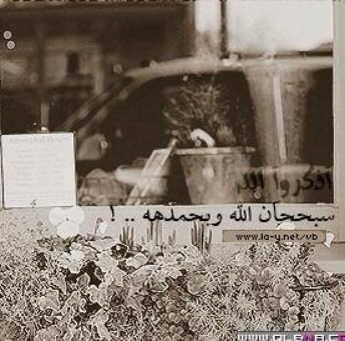 ⁺ دعٌ عنٌۆآإنٌكـ فٌيٌ أآلحيٱآۃ آلآبتسآأمهٌ  لٌيسٌ هنآآكٌ مآأيسٌتحقٌ ليٌعكٌر صٌفوٌك ♡           kik : m7amedd7