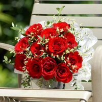 ابومحمد (@ababhassan) 's Twitter Profile