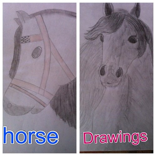 We make beautyful horse drawings, follow us, send a picture of your horse and we draw it :)