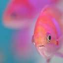 ian oakley - @oako38 - Twitter