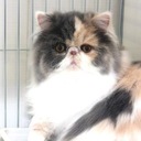 Louise Tyson - @louisetyson2010 - Twitter