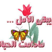 IBRAHIM ABOALHASSAN (@hemaspring) 's Twitter Profile