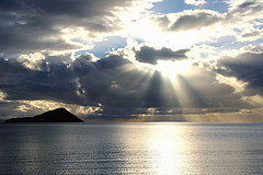 all_aboards's profile picture. All aboard. Find out about the best places to cruise!