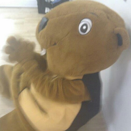 Hi, I'm the DV8 Beaver. Catch me at @DV8Warrington. I love to strut my stuff on the dancefloor and have my picture taken with my fans. I also love doughnuts!