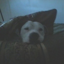 Henry Anderson - @MonceyCos - Twitter