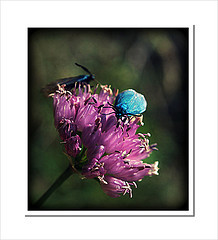 Creete_o's profile picture. Crete. It ain't just for the Cretins. Cruise there to see what I mean