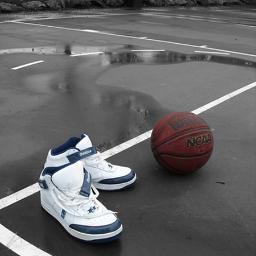 Bballfollowers1's profile picture. Basketball lover just want to follow basketball players and ill follow back