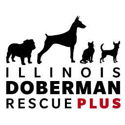 Illinois Doberman Rescue operates as a not-for-profit organization based in Northern Illinois.
