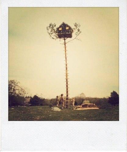 blueraspberry23's profile picture. 