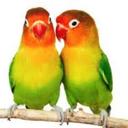 Allyson Mitchell - @AllysonMitche11 - Twitter