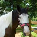 sheila johns - @JohnsSjohns913 - Twitter