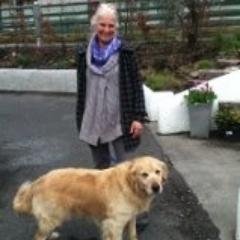The best dog walking and dog sitting company in Brighton! 

07450735578

http://t.co/DTuVTv0U04