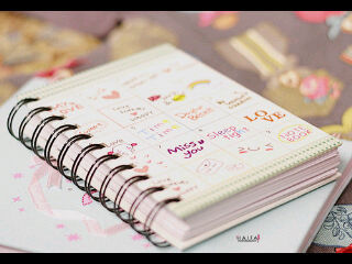 AngellaaShiee's profile picture. 