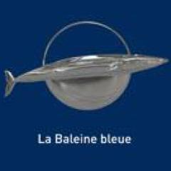 Une baleine bleue de la taille d’un Airbus en plein cœur des villes, ça ne passe pas inaperçu ! C’est un cadeau pour la Terre…
#environnement #biodiversite