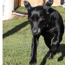 jill messick - @jillmessick1 - Twitter