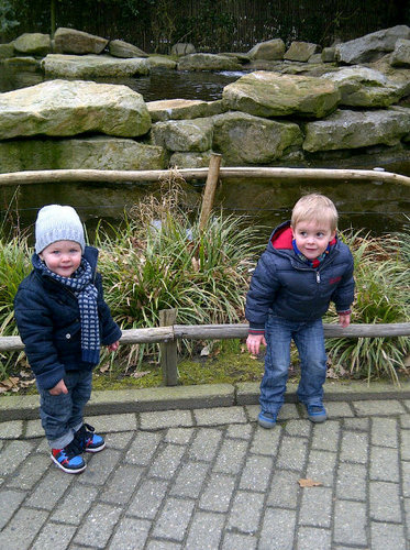 danielkoper's profile picture. 