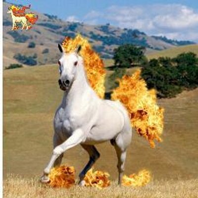 Pokémons na vida real! Pokemon in real life, Pokemon, Pokemon