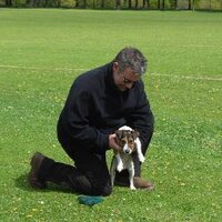 michael mcquillan (@mag1mickmichael) 's Twitter Profile