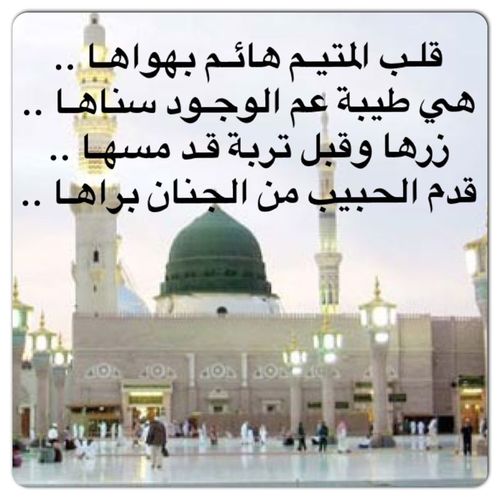 اللهم ارزقنا حسن الجوار وارزقنا جواره في الفردوس الاعلى