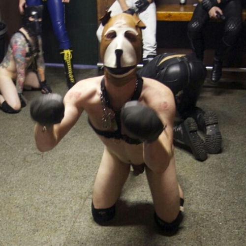 International Leatherboy 2007