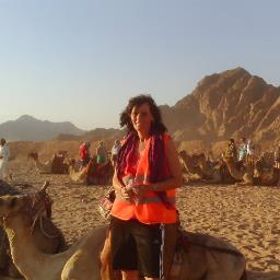 wornoutwendy's profile picture. 