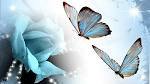I like music,dance,shopping and admire beautiful people and things.I like  everthing that makes me feel good and Happy!
And i have great faith in God.