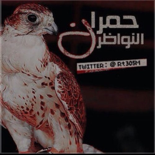 ‏‏‏‏‏‏‏(الحساب بخدمة الجميع)