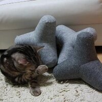 けっけ (@kt802) 's Twitter Profile