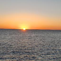 Lina_Font's profile picture. 