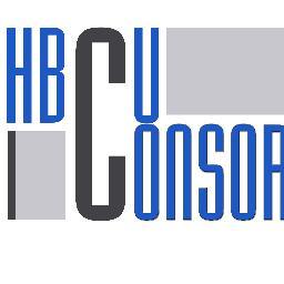 To provide a myriad of avenues for Historically Black College or University (HBCU) alumni professionals to unite, build relationships, and give back.