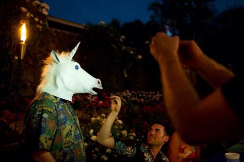 TheCatonator's profile picture. don’t follow me I’m not real