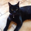 Anna pelletier - @Atzfan - Twitter