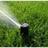 Green Lawn Sprinkler