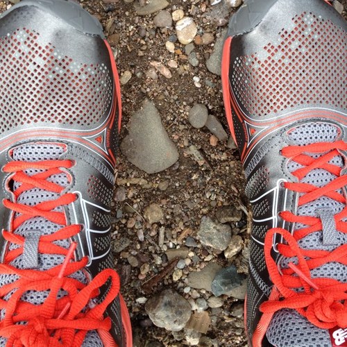 wall st trader, trail runner, gambling degenerate