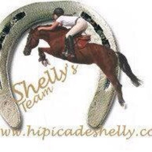 Hipicashelly's profile picture. 