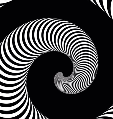 osirisTree's profile picture. 