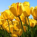 nancy gaston - @nancygastonf - Twitter