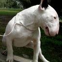 nanette doyle - @bayetta10 - Twitter