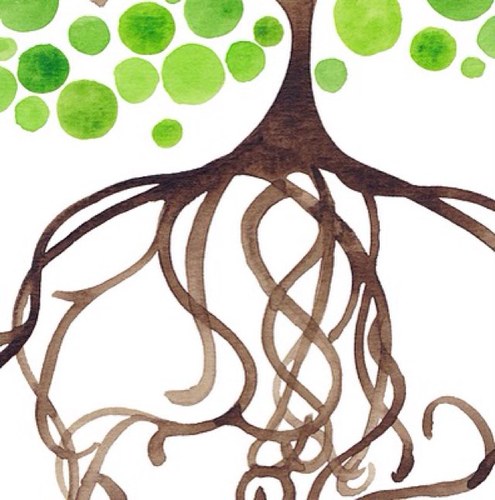 AalbrechtM's profile picture. 