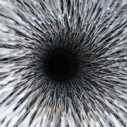 sammogelonsky's profile picture. Toronto-based visual artist, marketer and designer. Sparkle sparkle. ✨✨